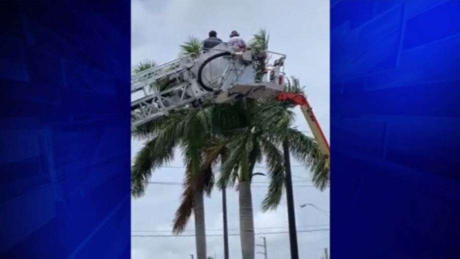 Worker rescued after boom truck malfunction leaves him stuck in bucket ...
