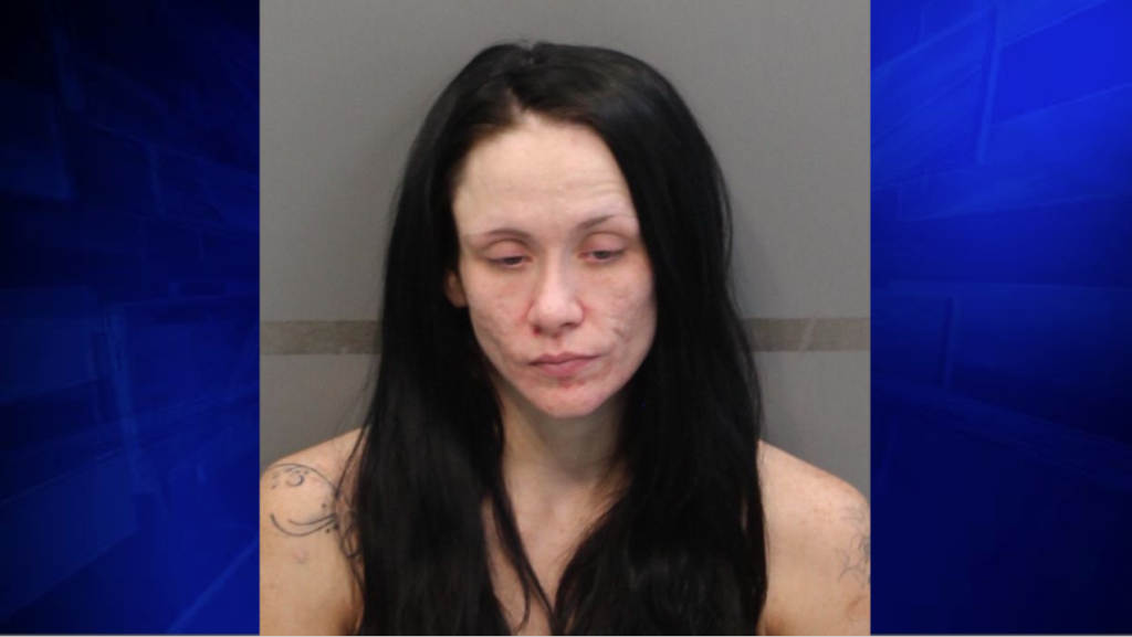 Police Mother’s drug use led to deaths of newborn twins WSVN 7News