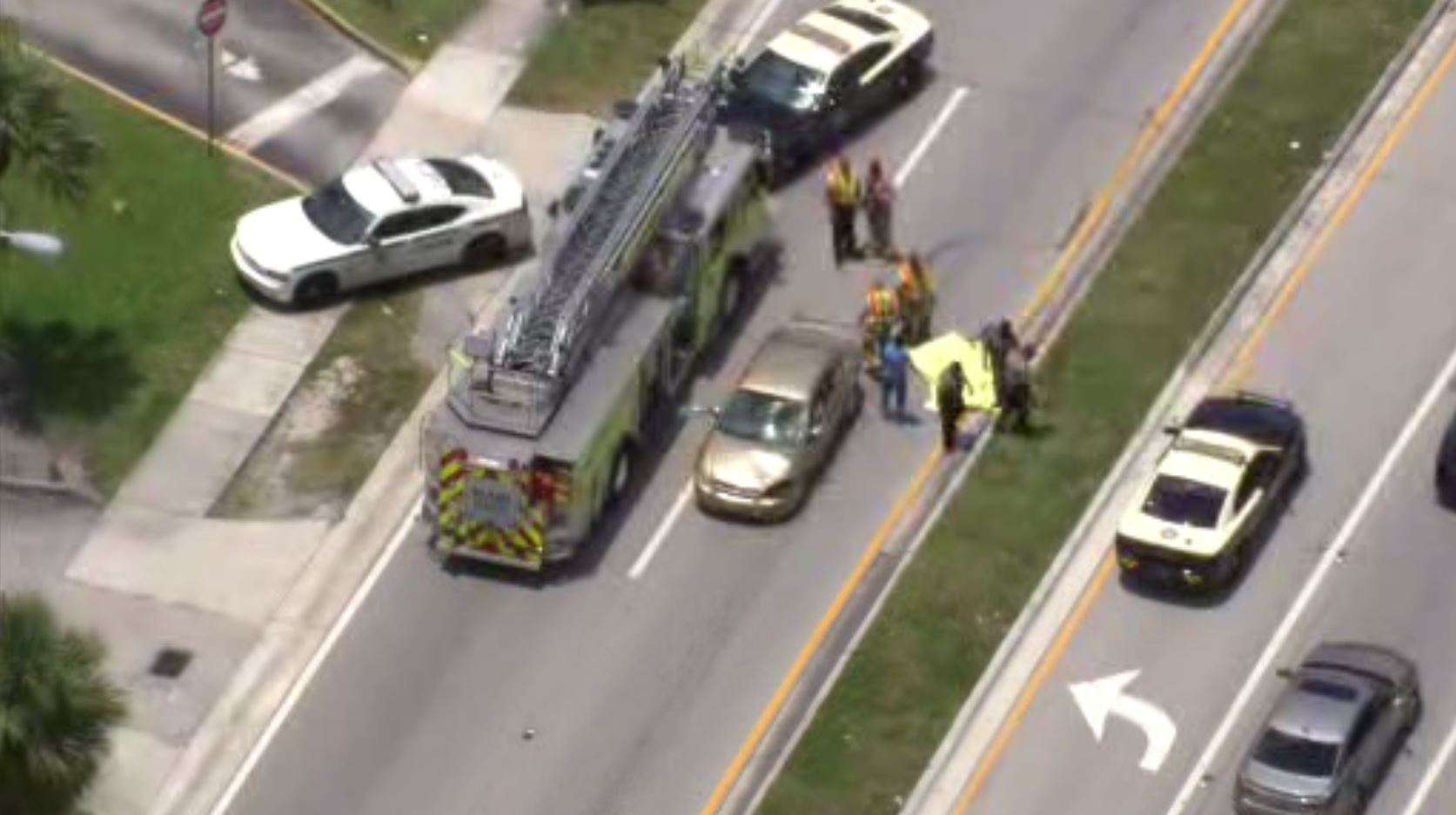 Pedestrian fatally struck by car in NE Miami-Dade - WSVN 7News | Miami ...