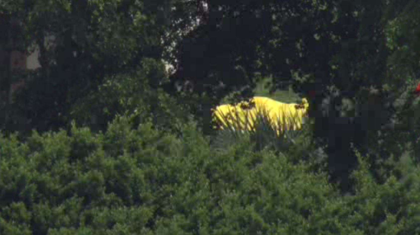 Investigation underway after woman found dead in Fort Lauderdale - WSVN ...