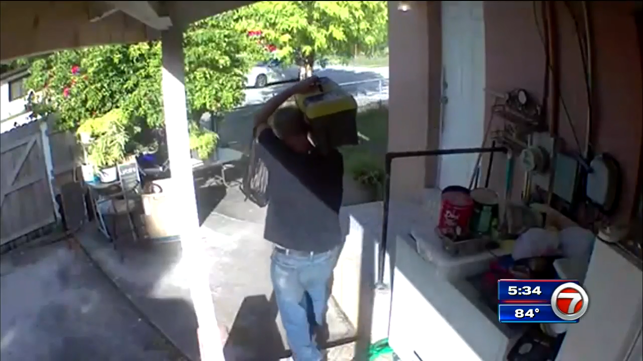 Surveillance video captures thief stealing food, tools from shed ...