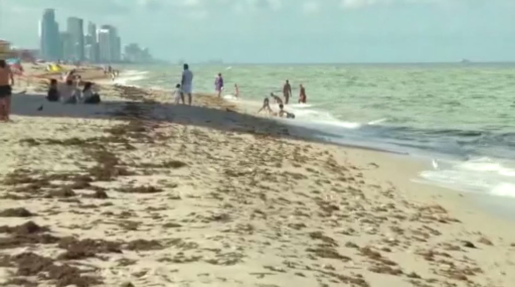 Miami dade water and sewer department issues no swim advisory due to