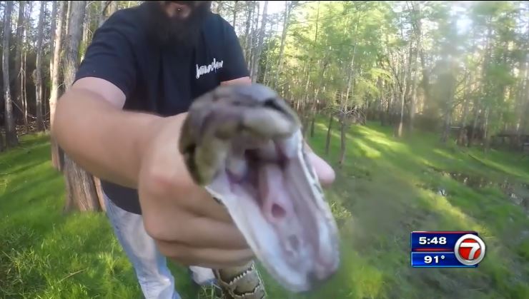 South Florida Water Management District employing agents for python ...