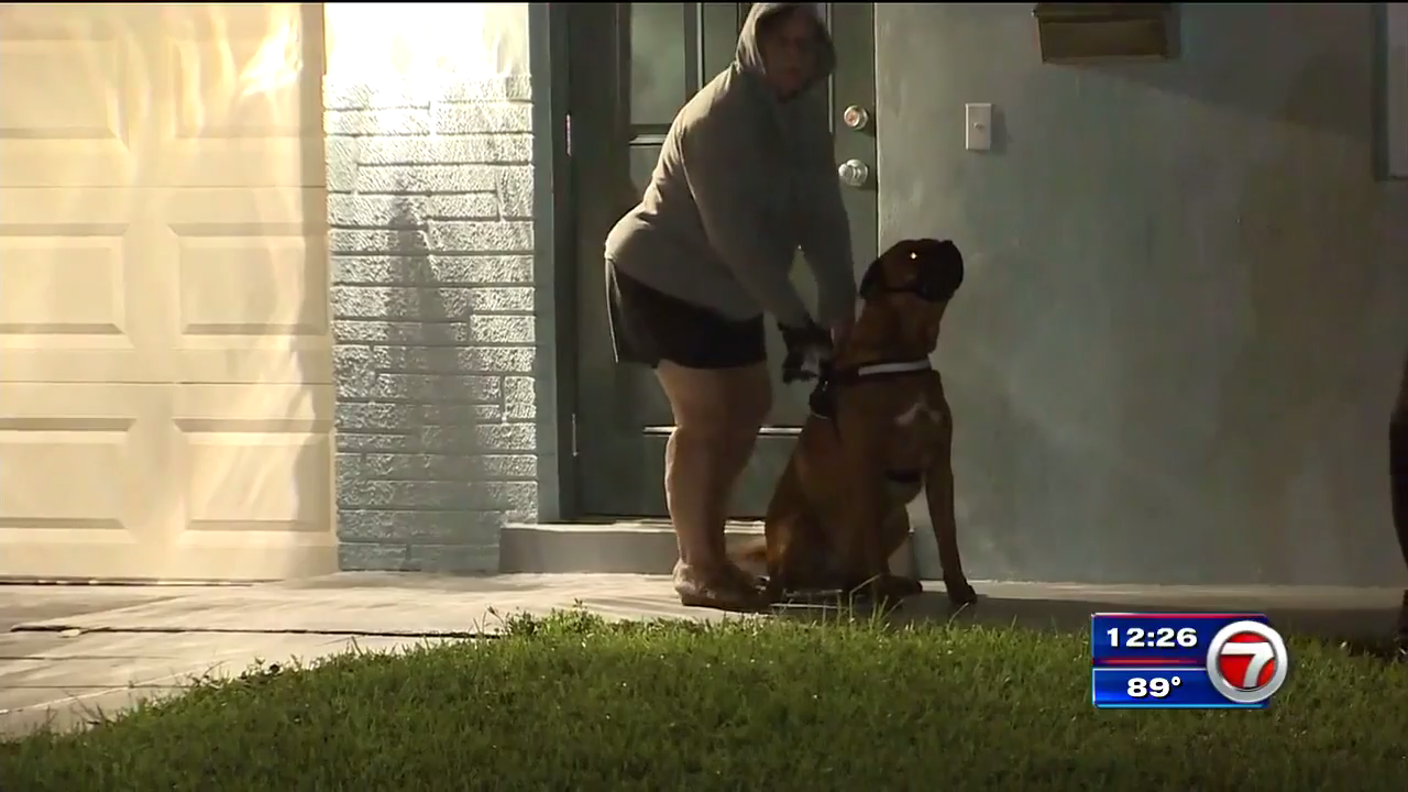 Boy, grandmother hospitalized after being attacked by dog in Pembroke ...
