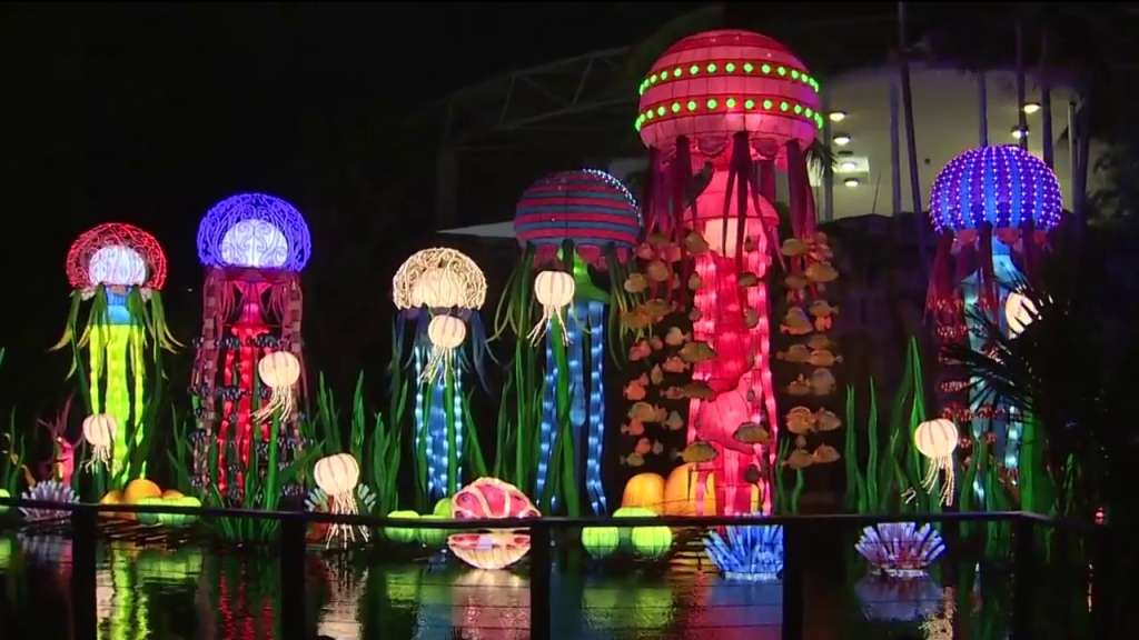 Chinese Light Festival Miami Wholesale Deals, 48% OFF | gvrs ...