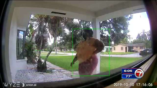 Video shows woman snatching package from NW Miami-Dade home - WSVN ...