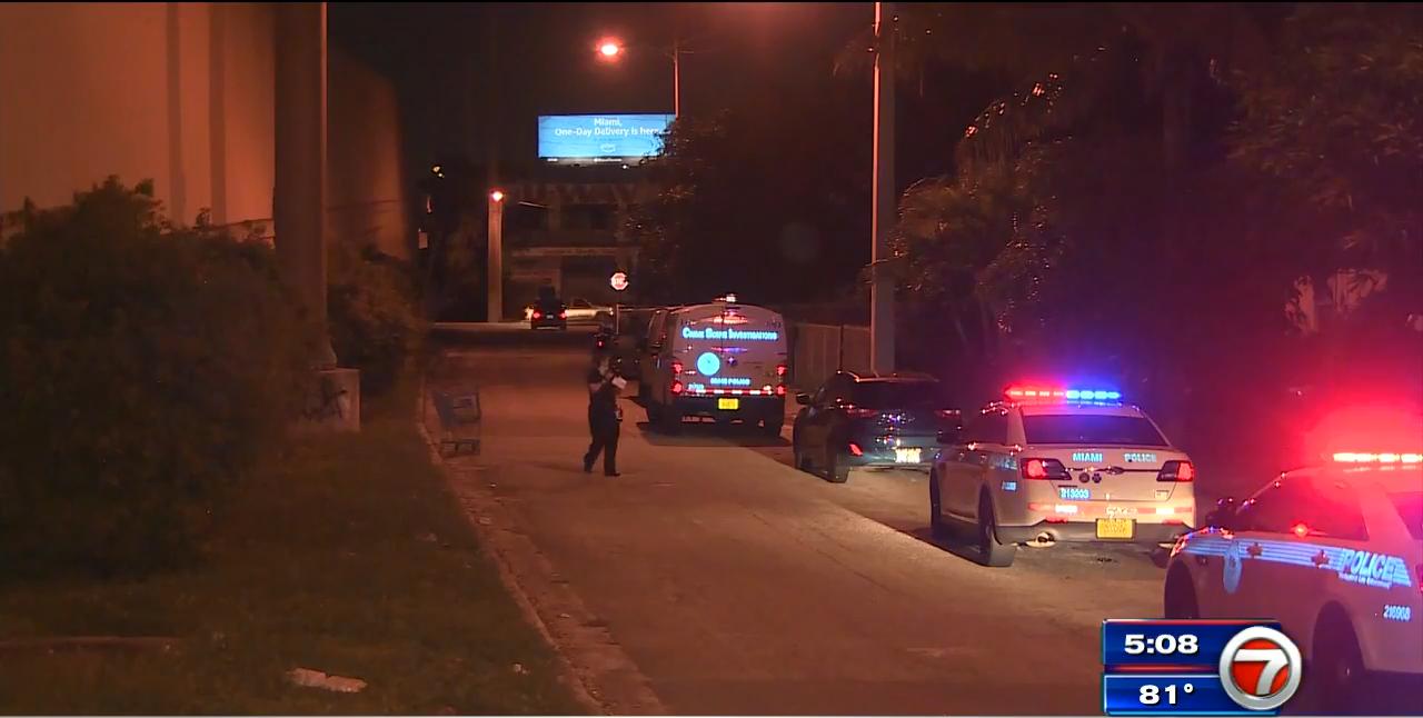 Man attacked by paintballs outside his Miami home WSVN 7News Miami