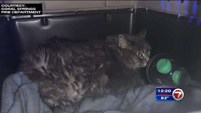 1 hospitalized, cat rescued after fire sparks at Coral Springs ...