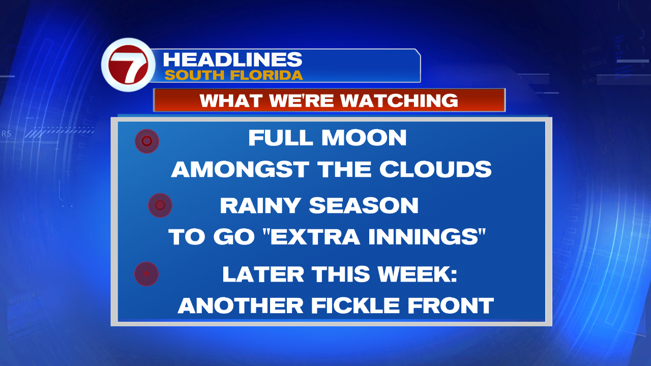 Break in the action - WSVN 7News | Miami News, Weather, Sports | Fort ...