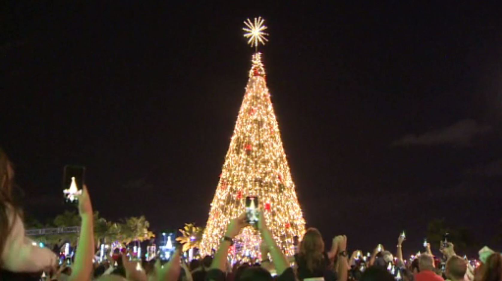 Bayfront Park lights Christmas tree, opens holiday village during