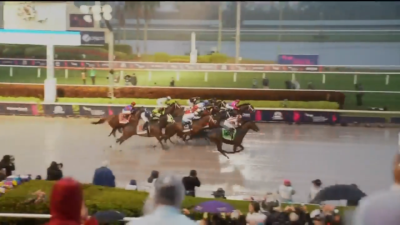 Pegasus World Cup to take place at Gulfstream Park this weekend WSVN 7News Miami News