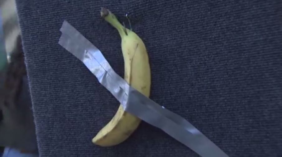 Duct-taped banana makes South Florida encore at Las Olas Art Fair