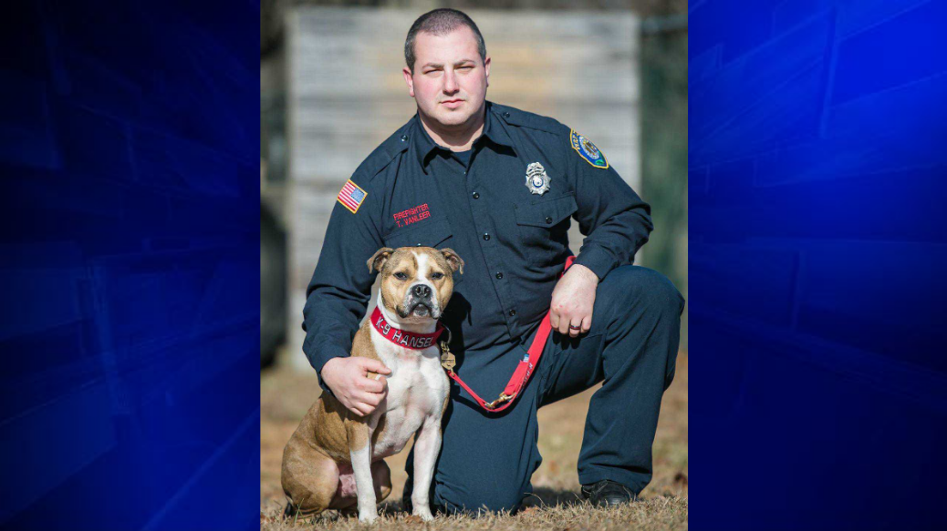 Meet Hansel, the first pit bull to an arsondetection K9 officer