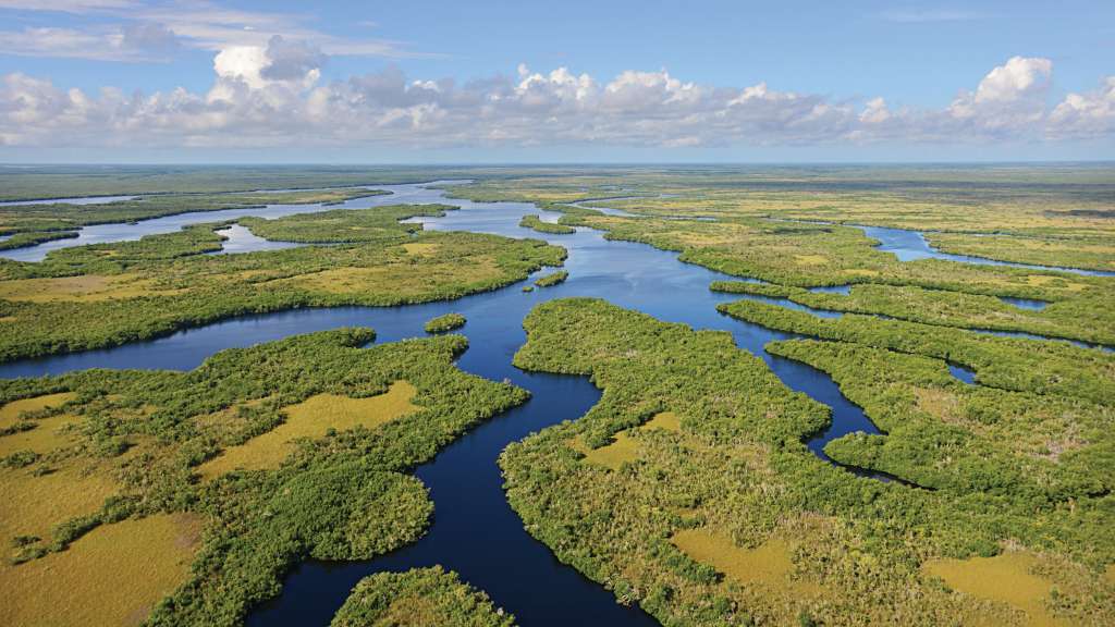Everglades National Park to reopen with restrictions - WSVN 7News | Miami News, Weather, Sports ...