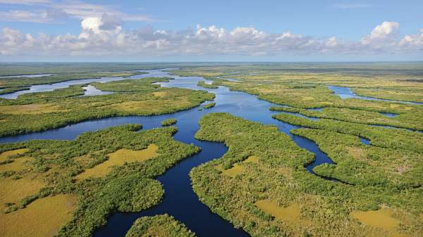 Florida to purchase 20,000 acres of Everglades wetlands to protect from oil drilling