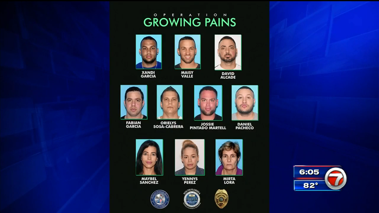 10 arrested after police break up organized burglary ring in Miami ...