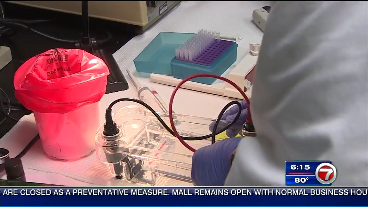 University of Miami working to develop vaccine - WSVN 7News | Miami ...