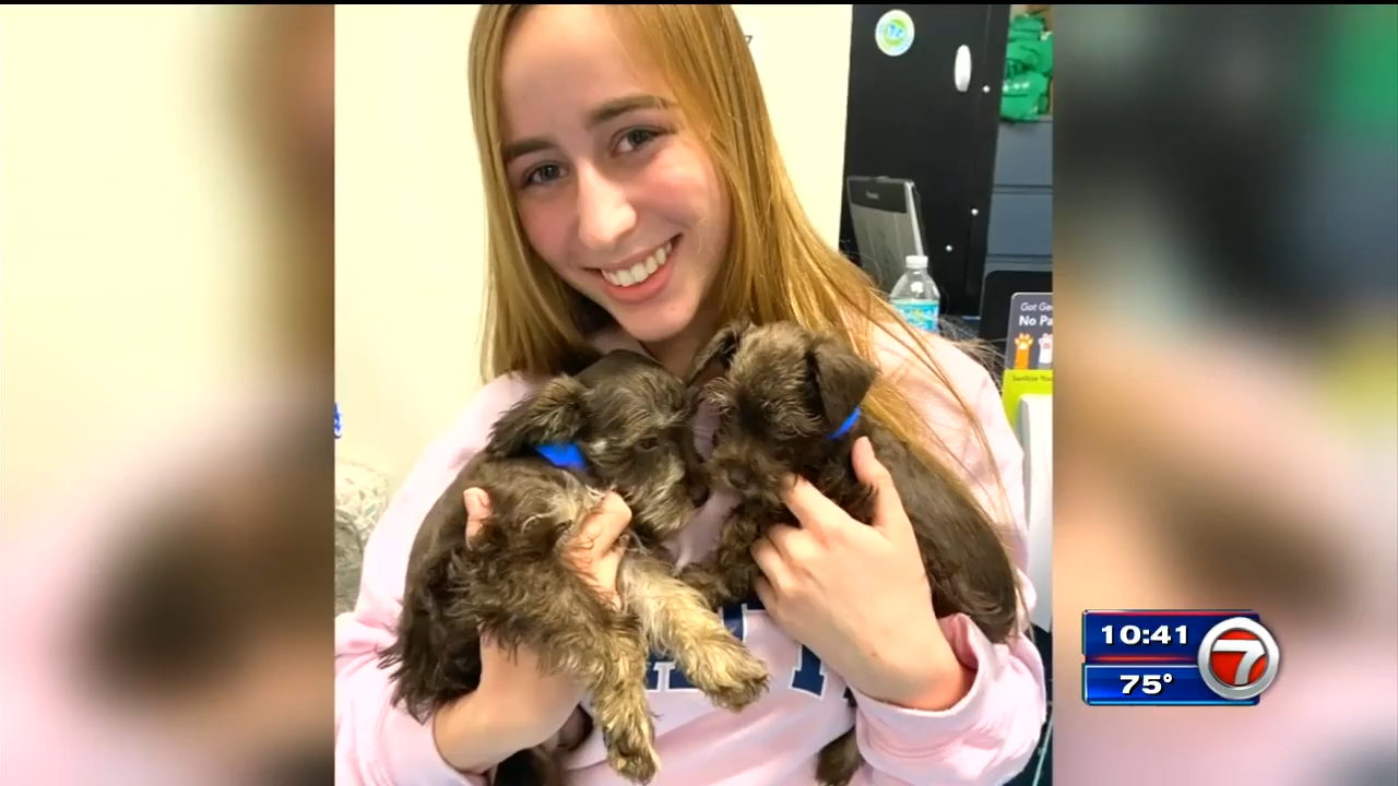 Pet Project South Florida teen makes bracelets to send pet food to