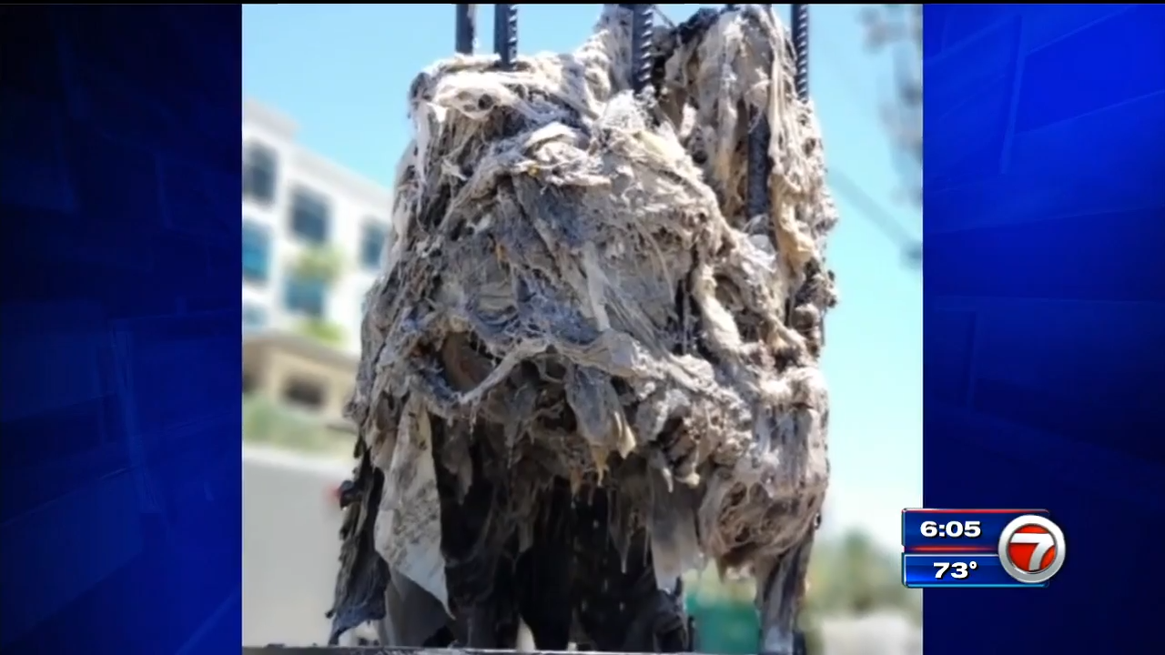 Spill at North Miami wastewater treatment plant causing coronavirus