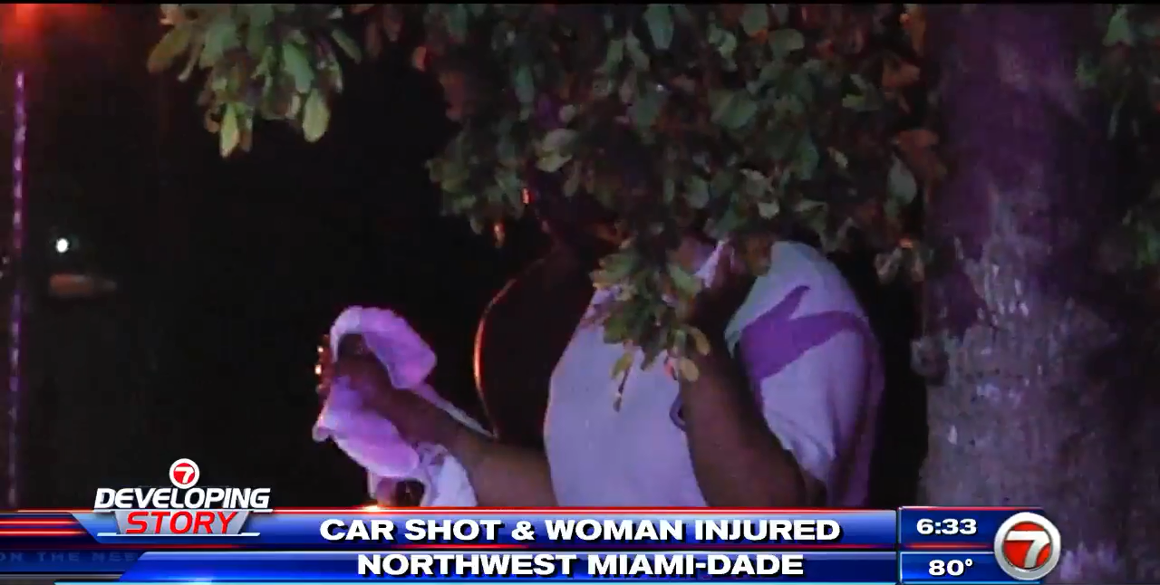 Woman injured after being shot while driving along I95 WSVN 7News