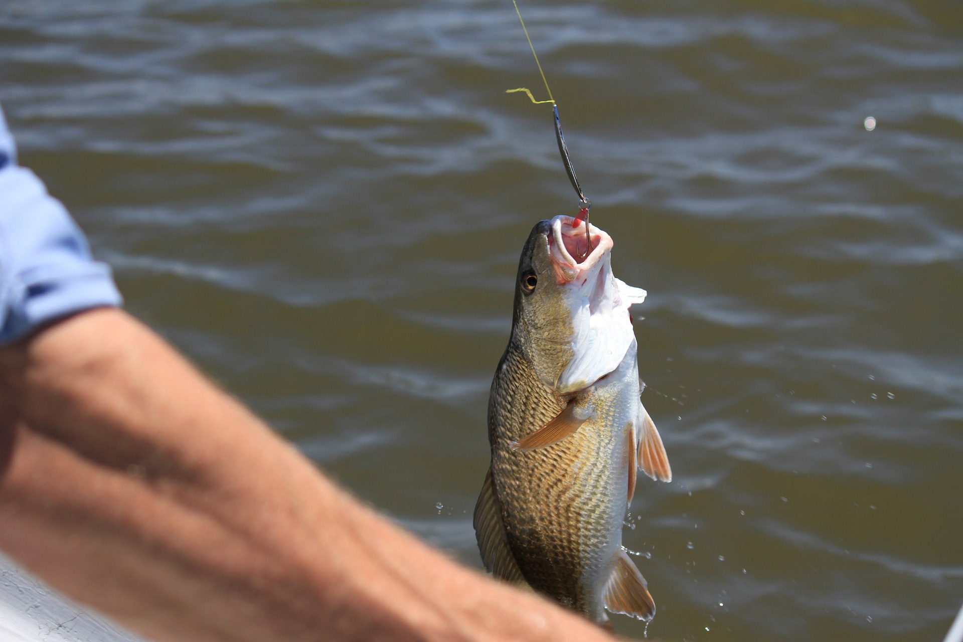 Saturday is a licensefree saltwater fishing day in Florida WSVN