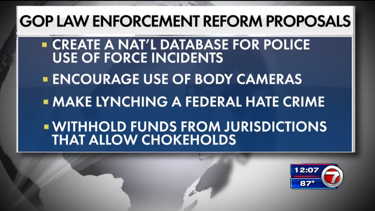 Senate GOP to restrict police chokeholds in emerging bill - WSVN 7News ...