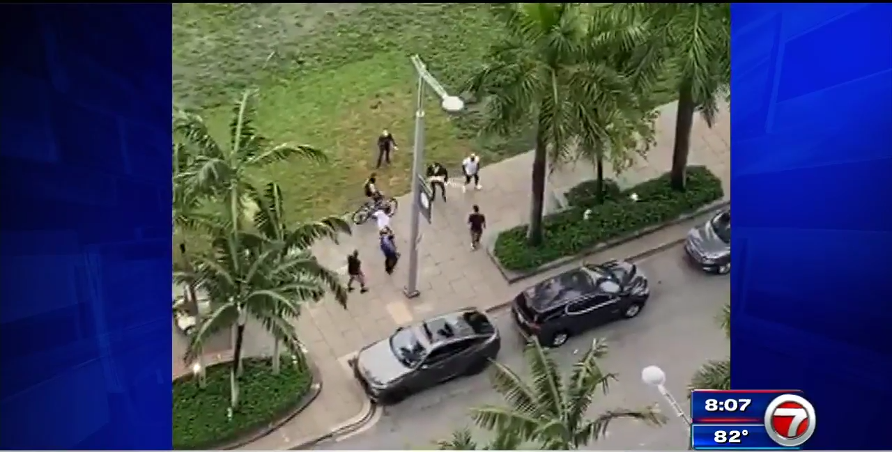 Police arrest 2 after assault on protester in Miami - WSVN 7News ...