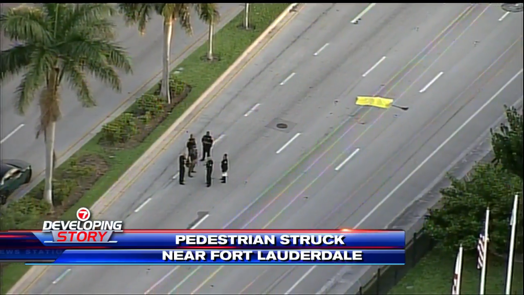 Pedestrian fatally struck in hitandrun near Fort Lauderdale WSVN