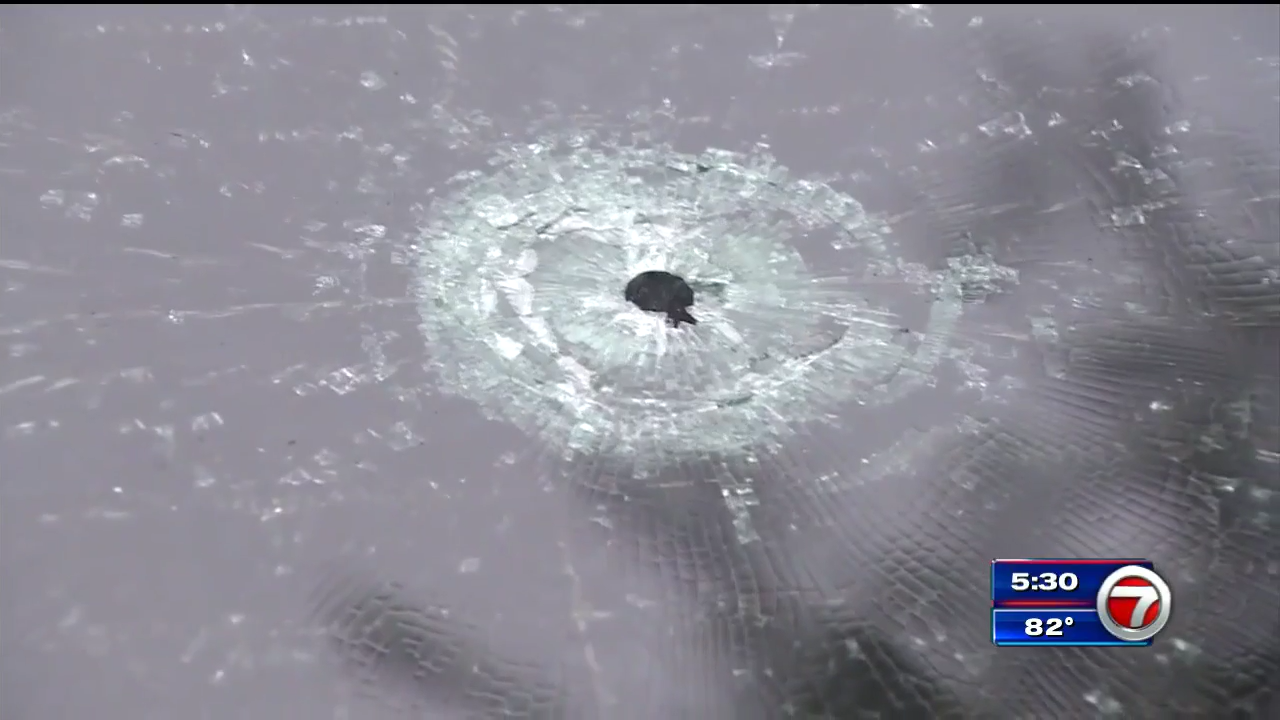7-year-old boy shot by stray bullet on July 4th leaves hospital - WSVN ...