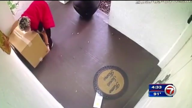 Video Shows Man Swiping Packages From Nw Miami Dade Homes Wsvn 7news