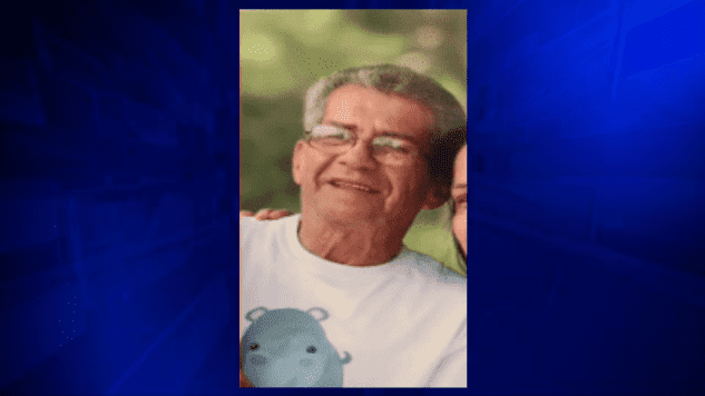 Search underway for elderly man who went missing in