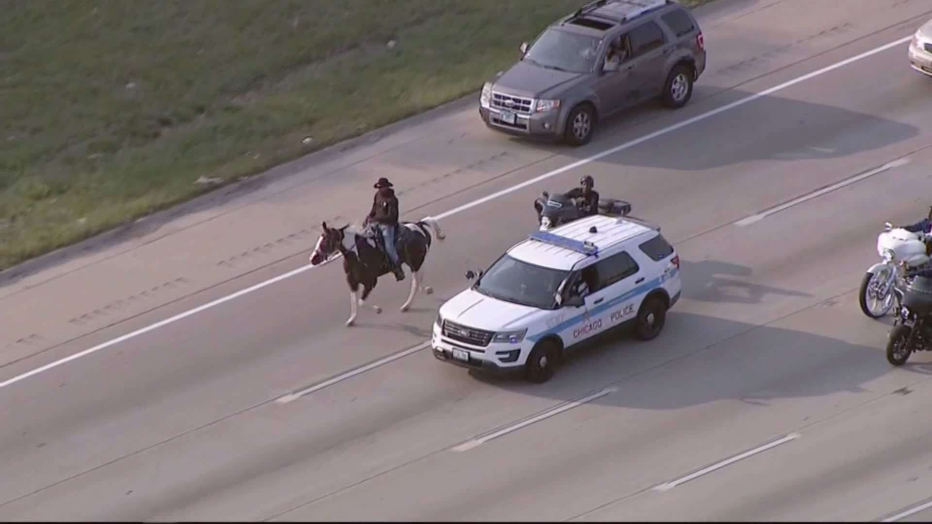 A man known as the ‘Dreadhead Cowboy’ was arrested for riding his horse ...