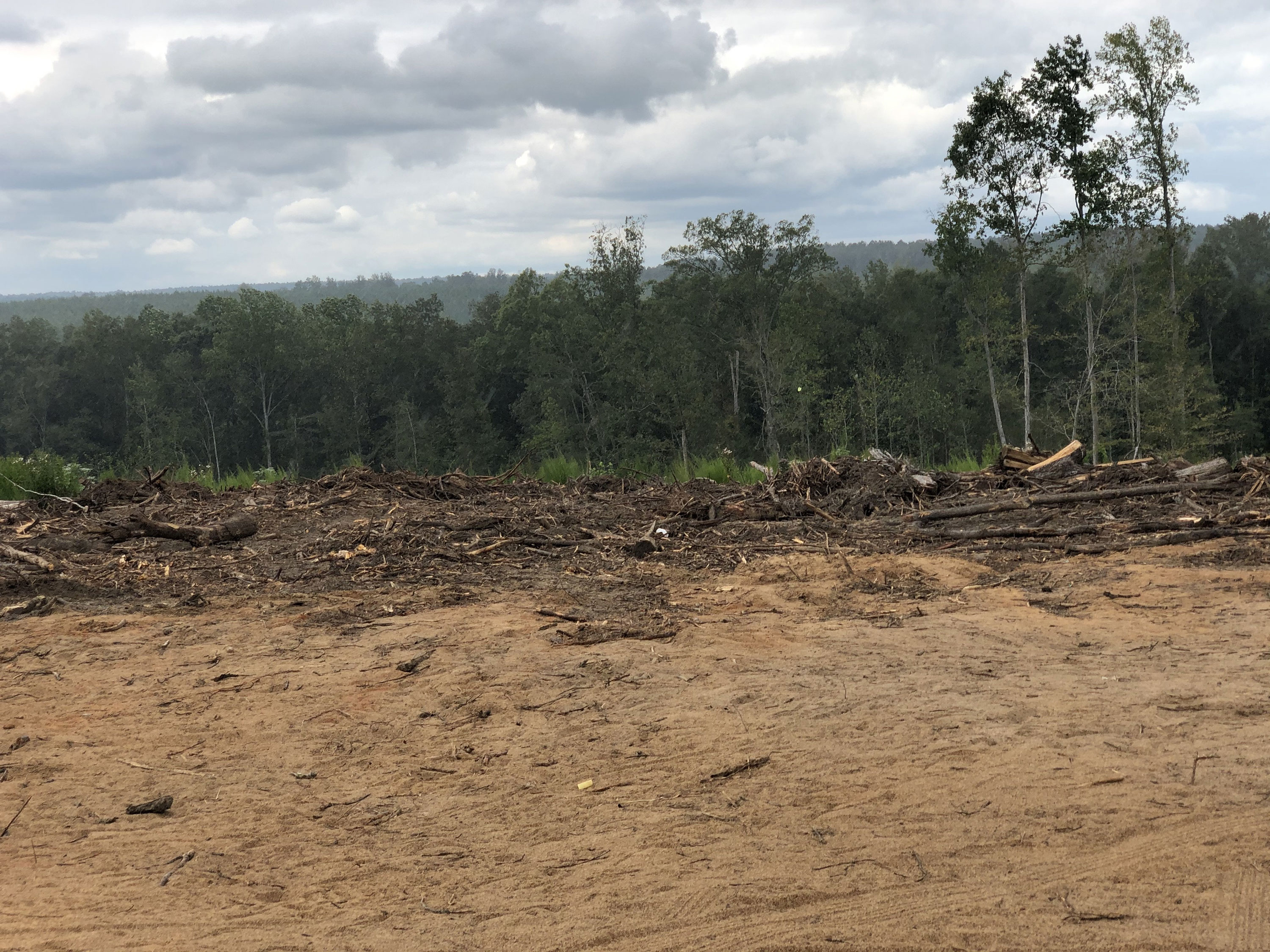 19 families buy nearly 97 acres of land in to create a city
