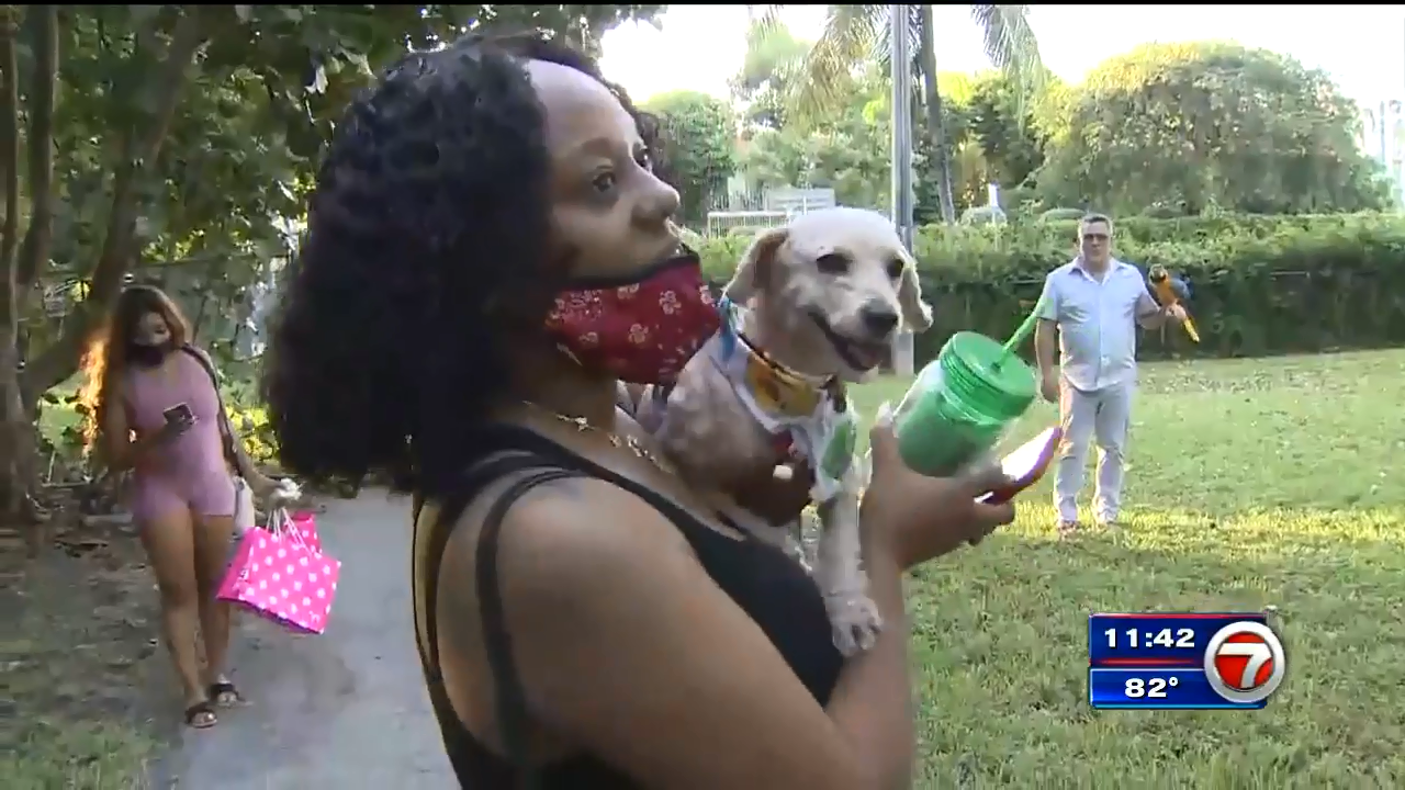 Family, dog reunited after nearly 3 years apart - WSVN 7News | Miami ...