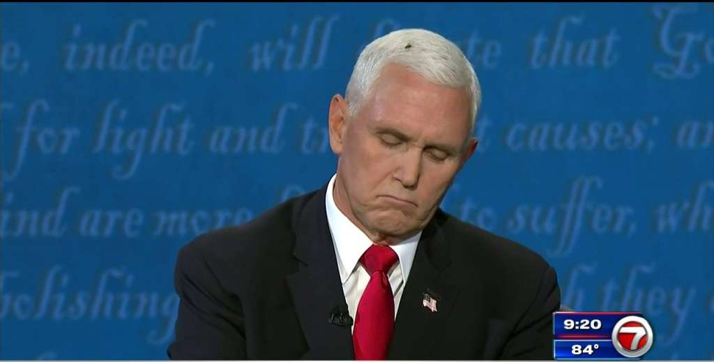 Fly on Pence s head generates buzz in VP debate WSVN 7News Miami