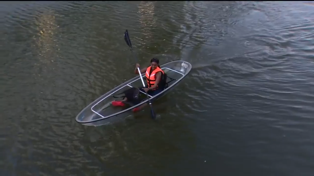 Take a guided tour of Biscayne Bay in a transparent kayak from Clear