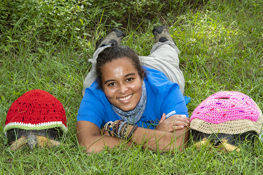 Animals at Zoo Miami celebrate Halloween early WSVN 7News Miami
