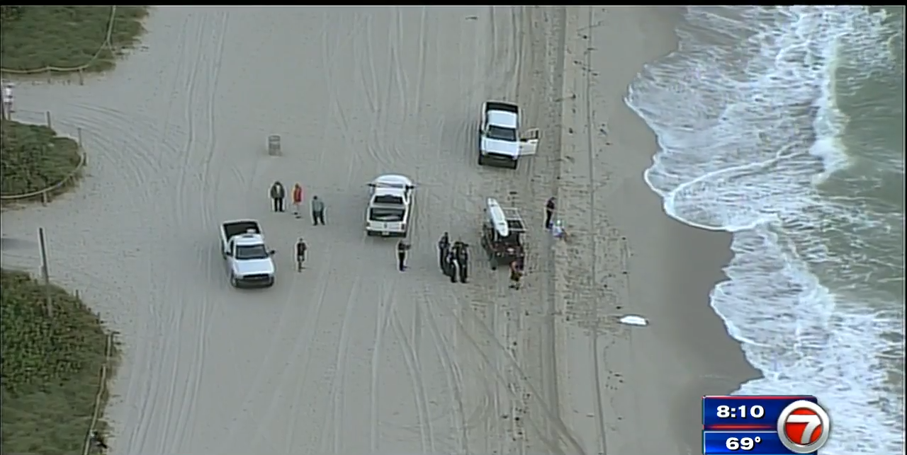 Woman Found Dead Along Shore Of Miami Beach Wsvn 7news Miami News Weather Sports Fort 