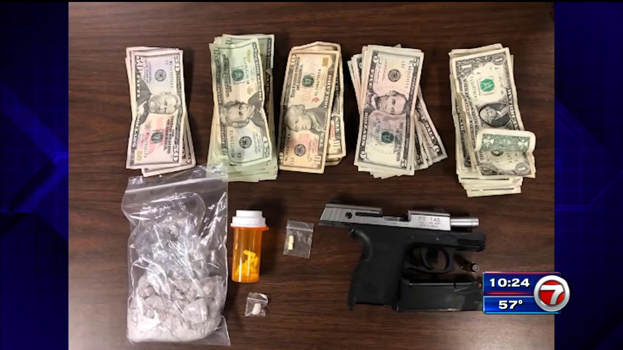 BSO arrest 54 in crime sting called Operation Green Shield WSVN 7News