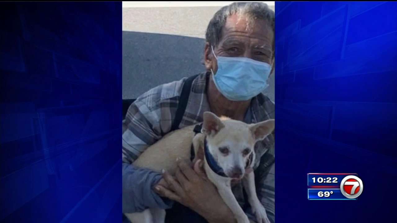 Homeless man continues search for missing dog - WSVN 7News | Miami News ...