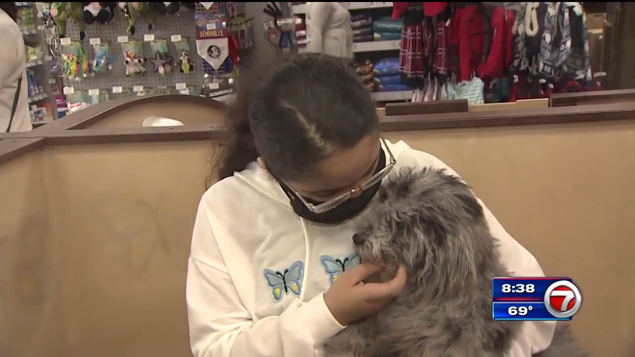 Petland in Pembroke Pines gifts poodle to girl with heart condition WSVN 7News Miami News