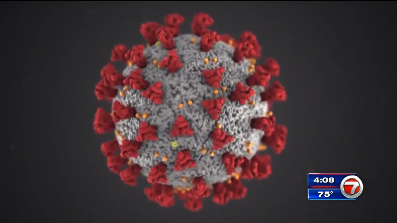 FDOH reports nearly 3,000 new cases of COVID19 on Tuesday WSVN 7News