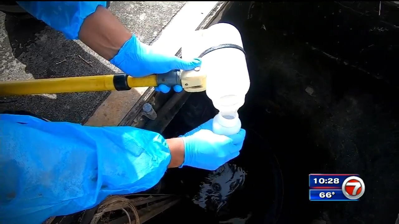 FAU researchers test wastewater on campus to find COVID19 cases WSVN 7News Miami News