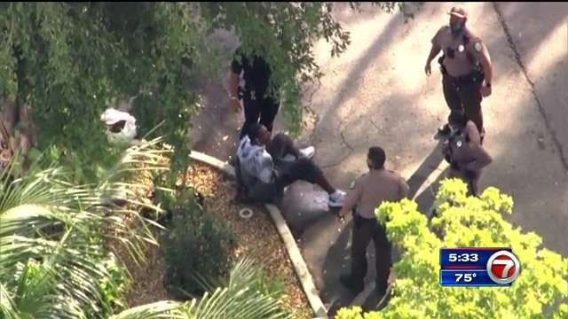 Suspected car thief arrested after fleeing police in Miami Lakes - WSVN ...