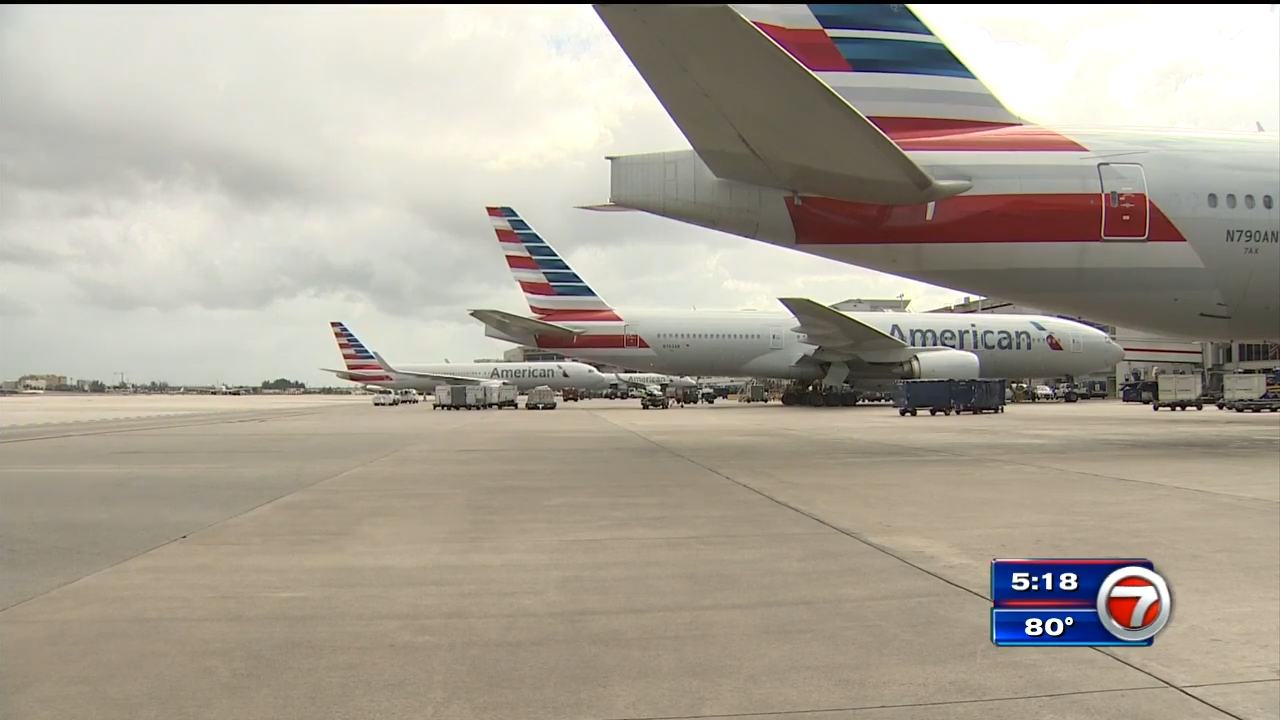 Passenger arrested after seen punching a flight attendant WSVN 7News