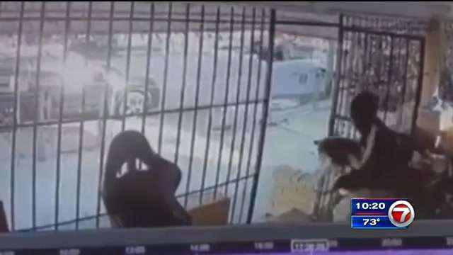 Husky puppy stolen from Miami home - WSVN 7News | Miami News, Weather ...