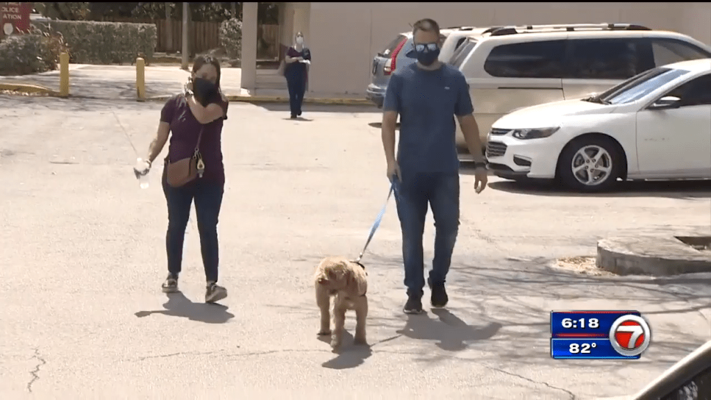 SW Miami-Dade couple reunited with their missing dog – WSVN 7News
