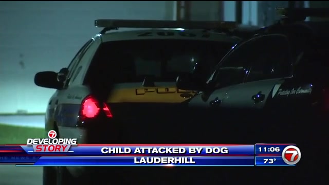 11-year-old boy rushed to hospital after canine assault in Lauderhill – WSVN 7News | Miami Information, Climate, Sports activities