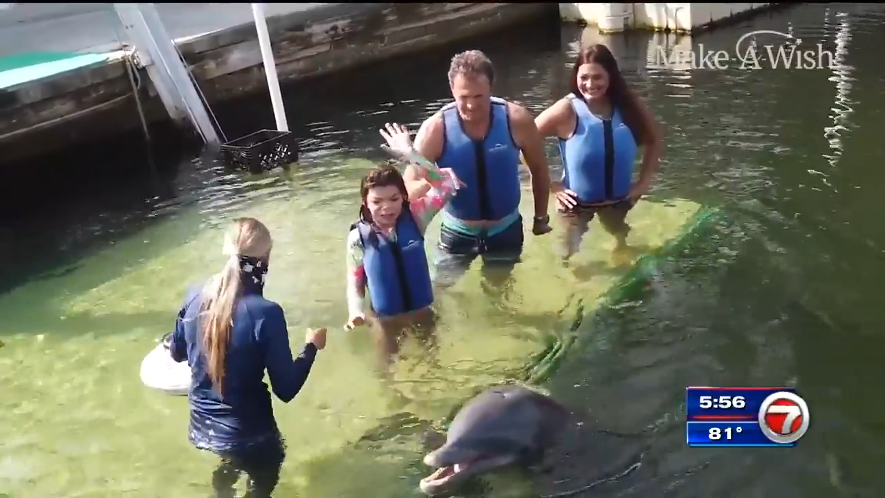 MakeAWish Southern Florida grants 12yearold’s wish to swim with