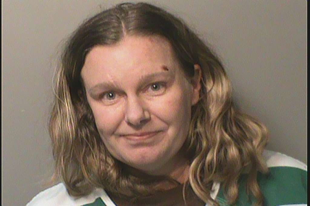 Woman pleads guilty to hate crime charges after police say ...